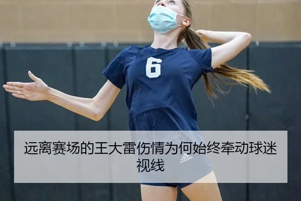 远离赛场的王大雷伤情为何始终牵动球迷视线 - aitiyu